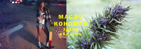 гидропоника Каменка