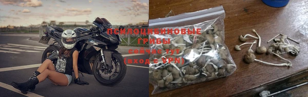 гидропоника Каменка