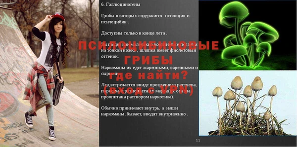 гидропоника Каменка