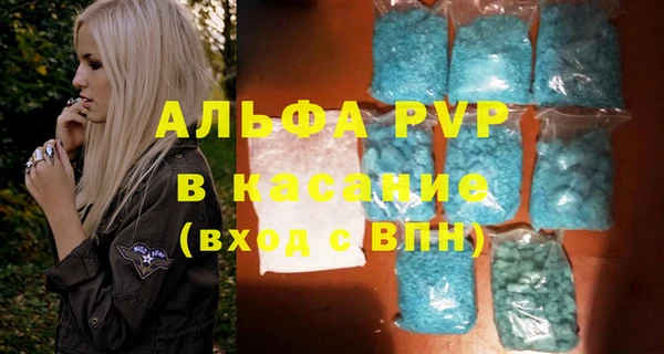 дмт Инта