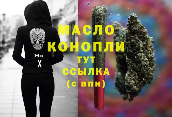 гидропоника Каменка